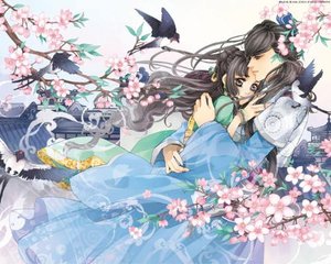 含羞草fi11跳转